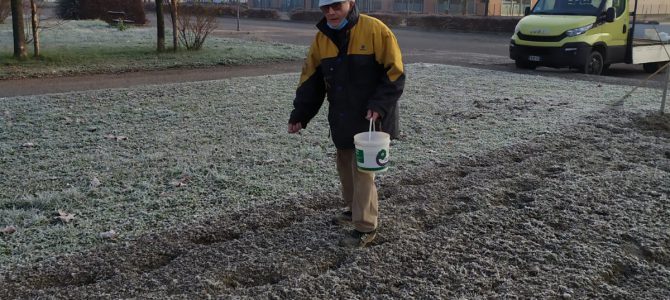 API E INSETTI UTILI, UN PROGETTO DEL ROTARY PER LE SCUOLE